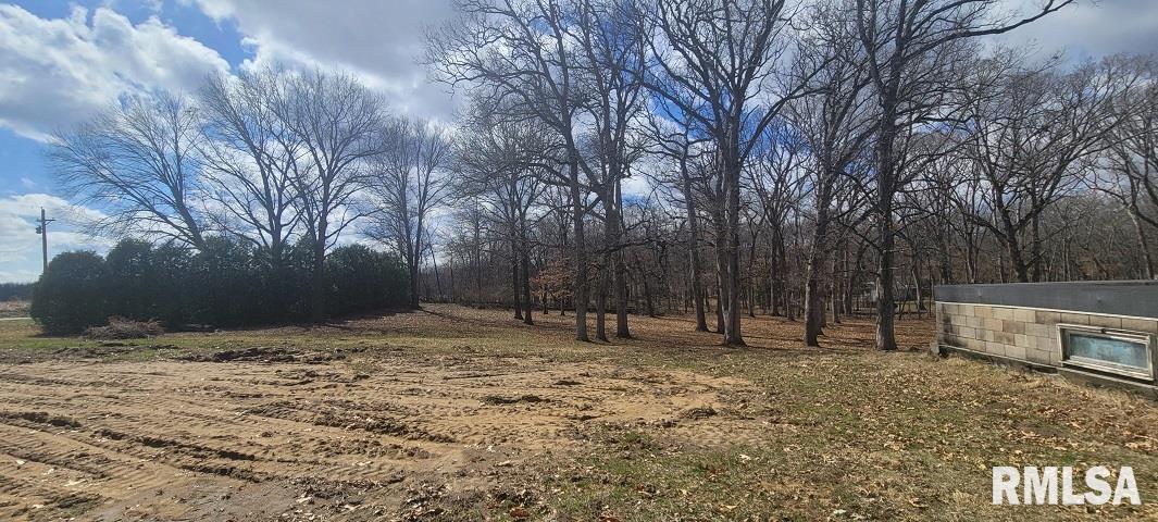 26908 Hinman Road Tremont, IL 61568 - Photo 10 of 14