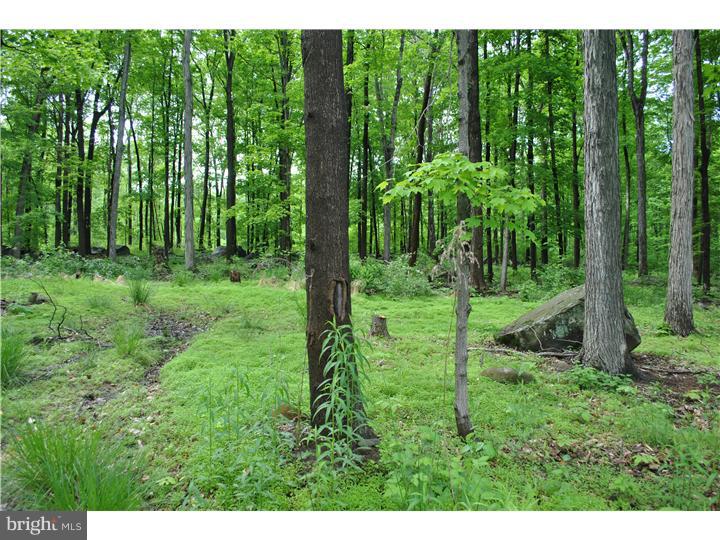 73 West Rock Road Perkasie, PA 18944 - Photo 1 of 6