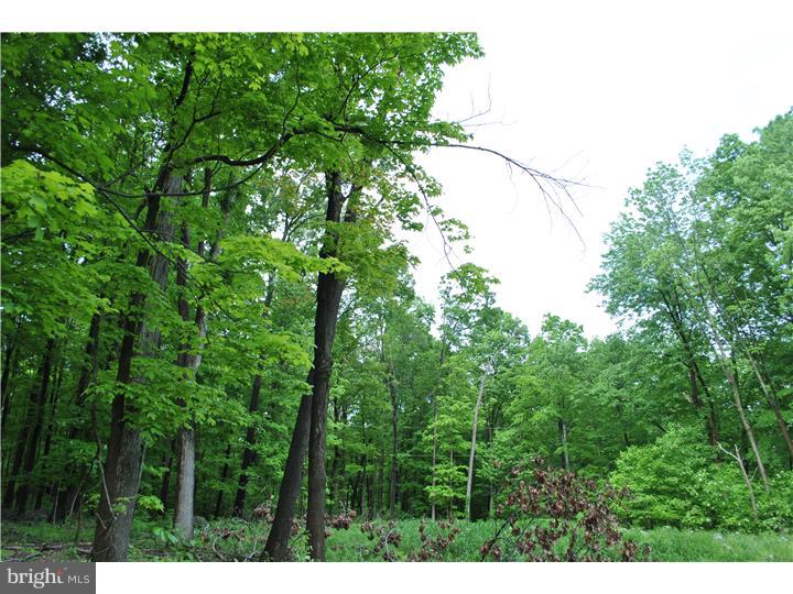 73 West Rock Road Perkasie, PA 18944 - Photo 3 of 6