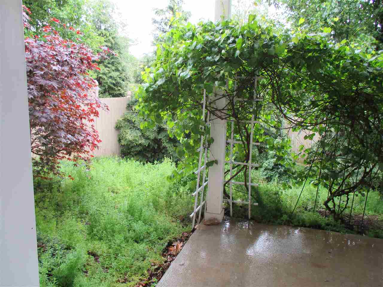 121 A Overlook Road Staunton, VA 24401 - Photo 21 of 21 a view of a yard with plants and a large tree