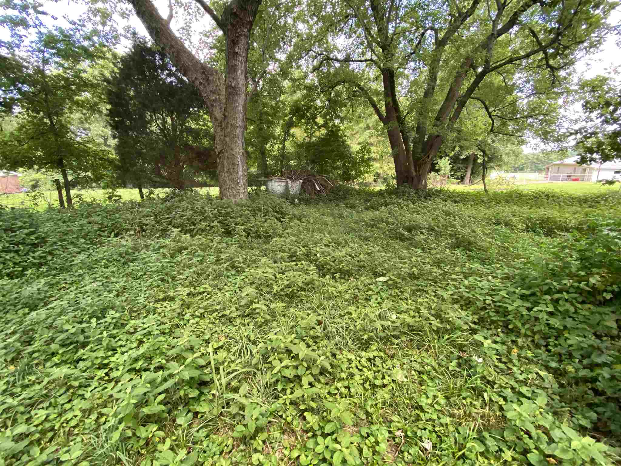 6610 Uebelhack Road Mount Vernon, IN 47620 - Photo 6 of 8 Gallery Image 6