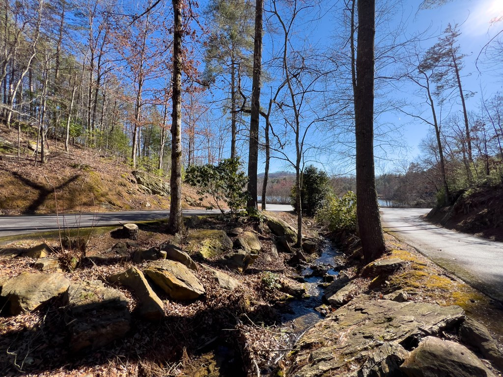 Lot 35 Mission Ridge Hayesville, NC 28904 - Photo 14 of 15