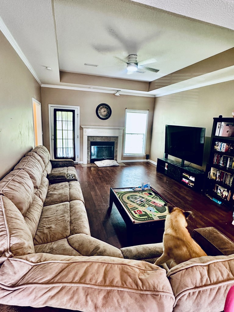 47 Miller Road Cowarts, AL 36321 - Photo 4 of 21 living room