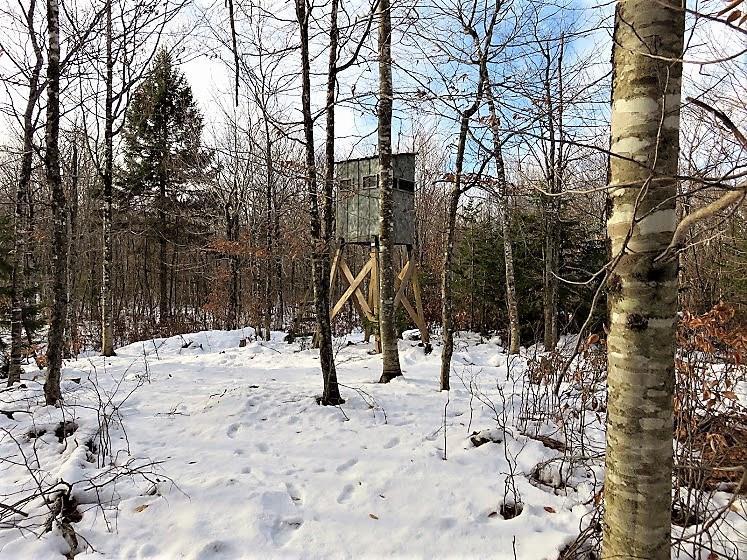 9 Off Fire Road Houlton, ME 04730 - Photo 7 of 30 Photo