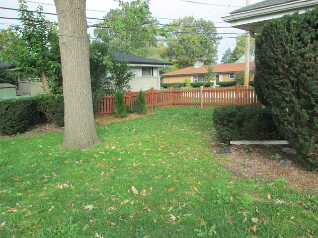 642 Wesley Drive Park Ridge, IL 60068 - Photo 11 of 11 a view of a house with backyard and garden