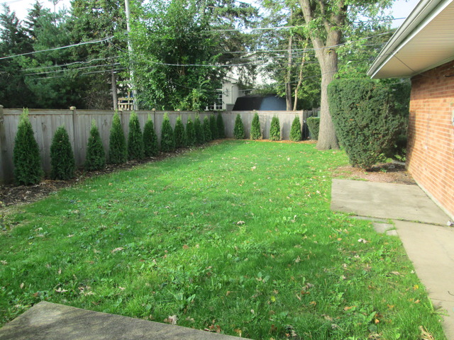 642 Wesley Drive Park Ridge, IL 60068 - Photo 10 of 11 a view of a backyard with a fountain