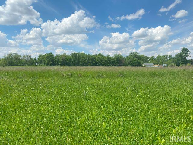 Rapp Road Fort Wayne, IN 46818 - Photo 6 of 6