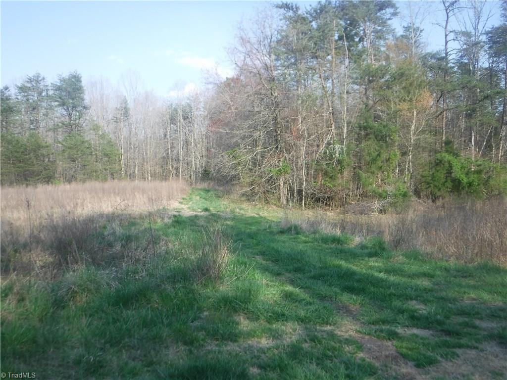 1354 Wilson Road Pilot Mountain, NC 27041 - Photo 2 of 11 Gallery Image 2