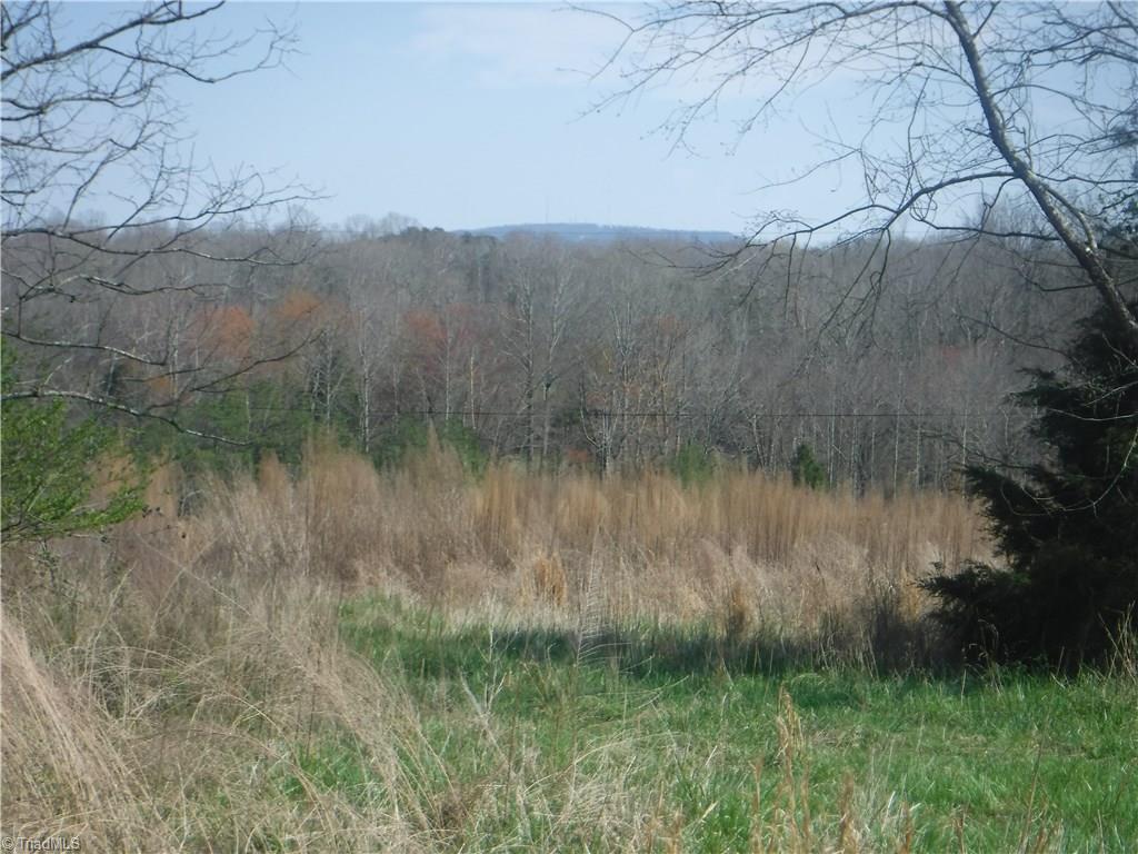 1354 Wilson Road Pilot Mountain, NC 27041 - Photo 3 of 11 Gallery Image 3