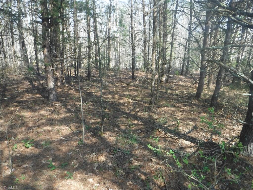 1354 Wilson Road Pilot Mountain, NC 27041 - Photo 4 of 11 Gallery Image 4