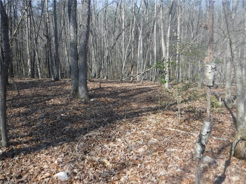 1354 Wilson Road Pilot Mountain, NC 27041 - Photo 5 of 11 Gallery Image 5