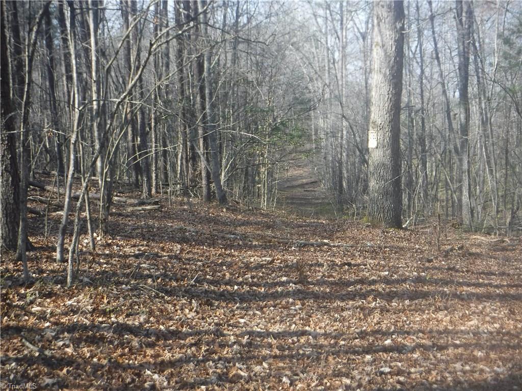 1354 Wilson Road Pilot Mountain, NC 27041 - Photo 8 of 11 Gallery Image 8
