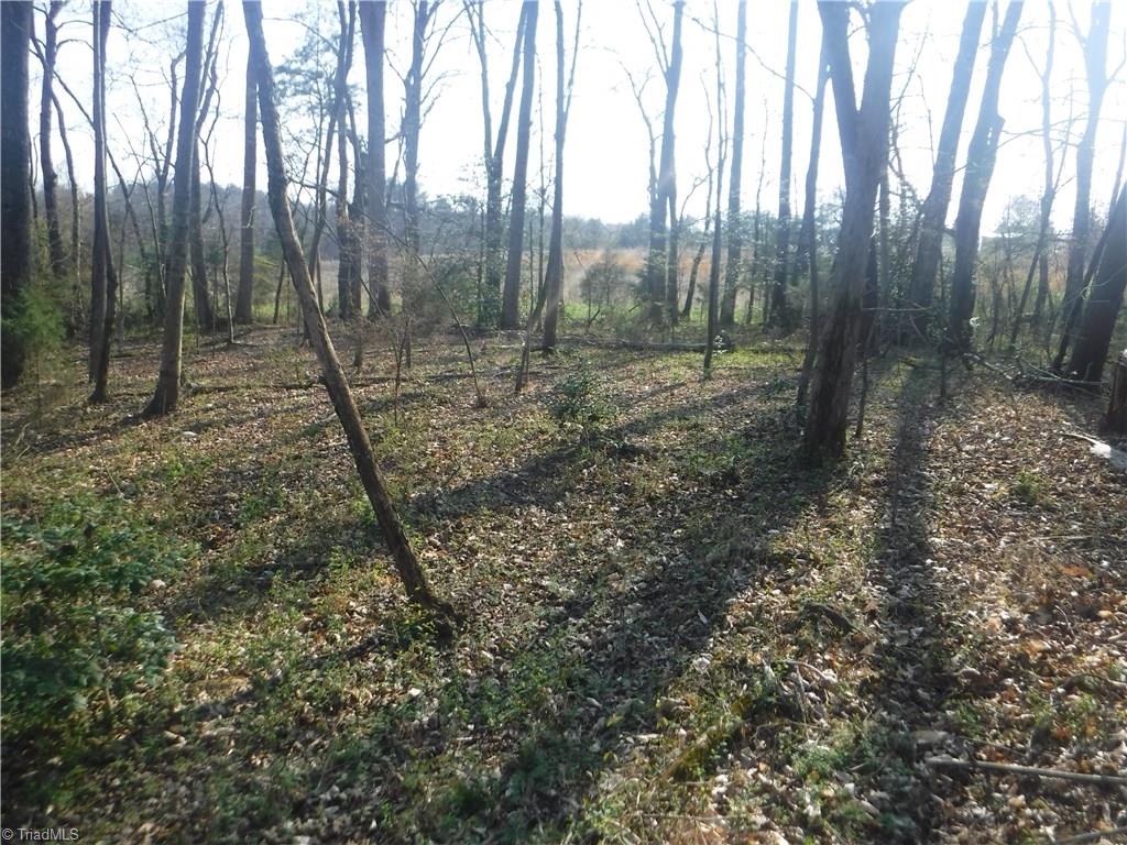 1354 Wilson Road Pilot Mountain, NC 27041 - Photo 10 of 11 Gallery Image 10