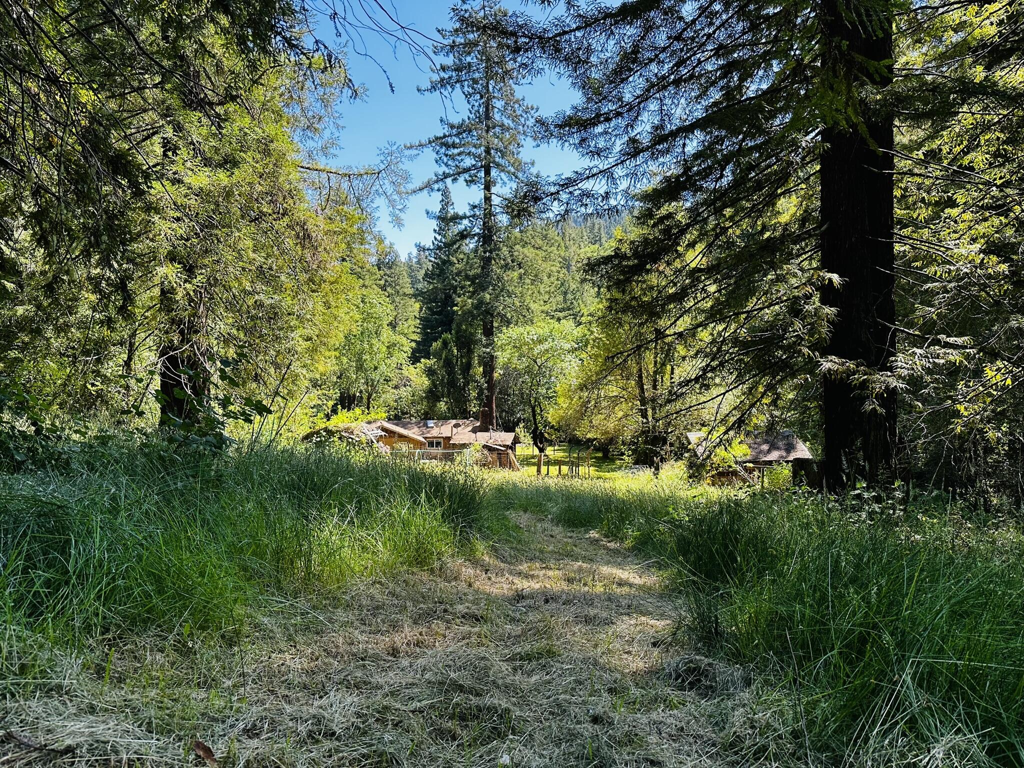 2675 Briceland Road Redway, CA 95560 - Photo 107 of 113 IMG_1329