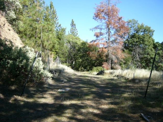 122 Acres Off Usfs Road Happy Camp, CA 96039 - Photo 19 of 25 Gallery Image 19