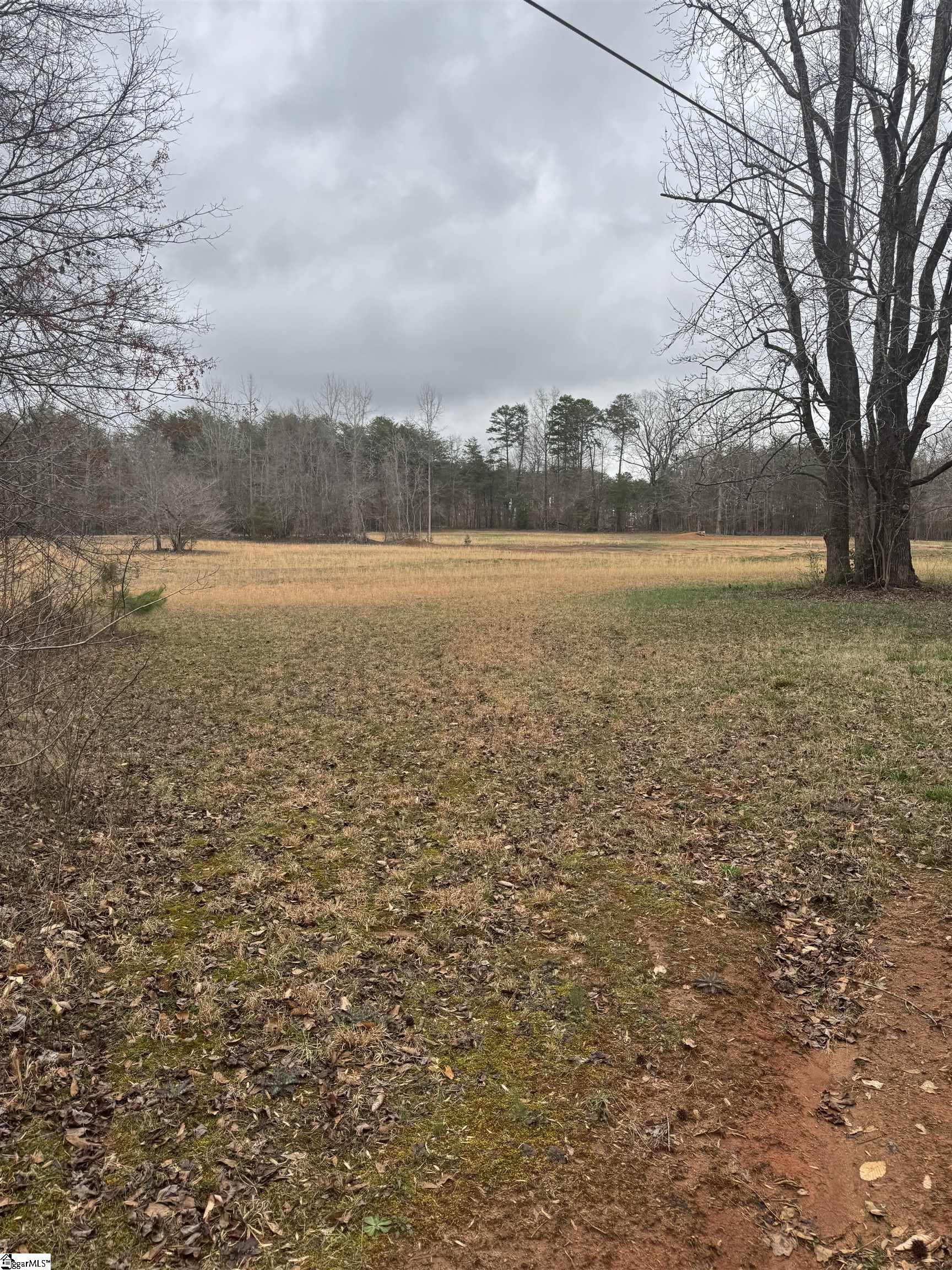 4320 North Blue Ridge Drive Taylors, SC 29687 - Photo 1 of 7