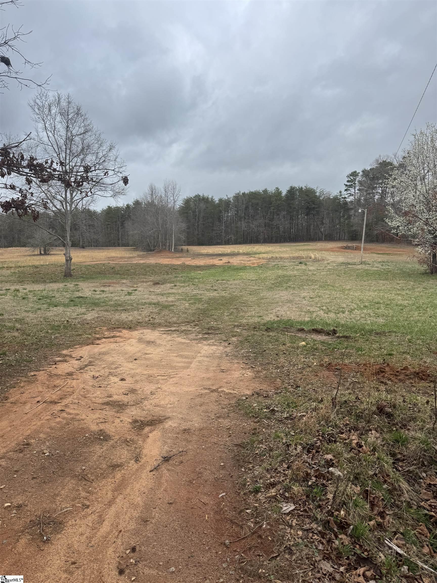 4320 North Blue Ridge Drive Taylors, SC 29687 - Photo 5 of 7