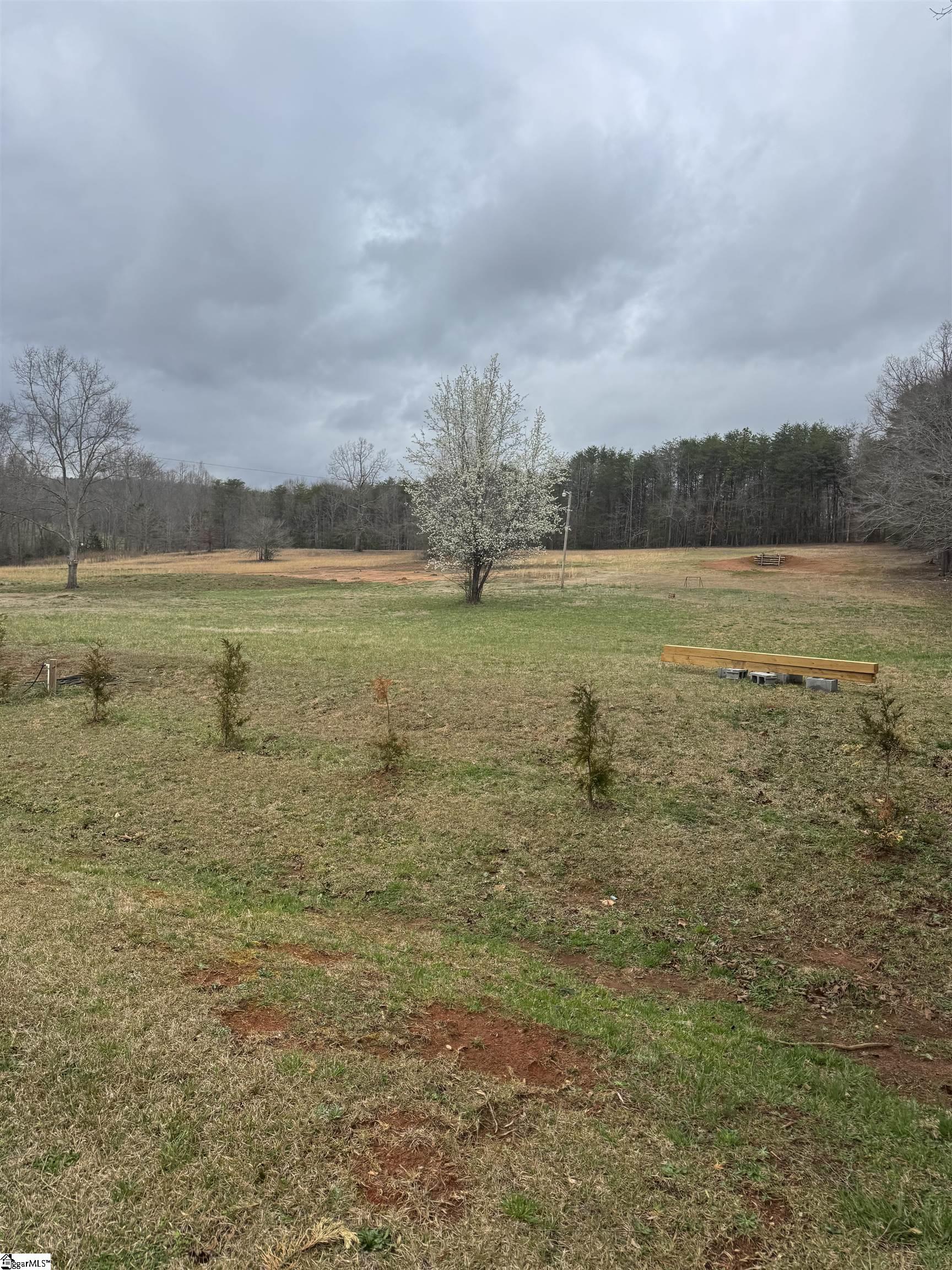4320 North Blue Ridge Drive Taylors, SC 29687 - Photo 6 of 7