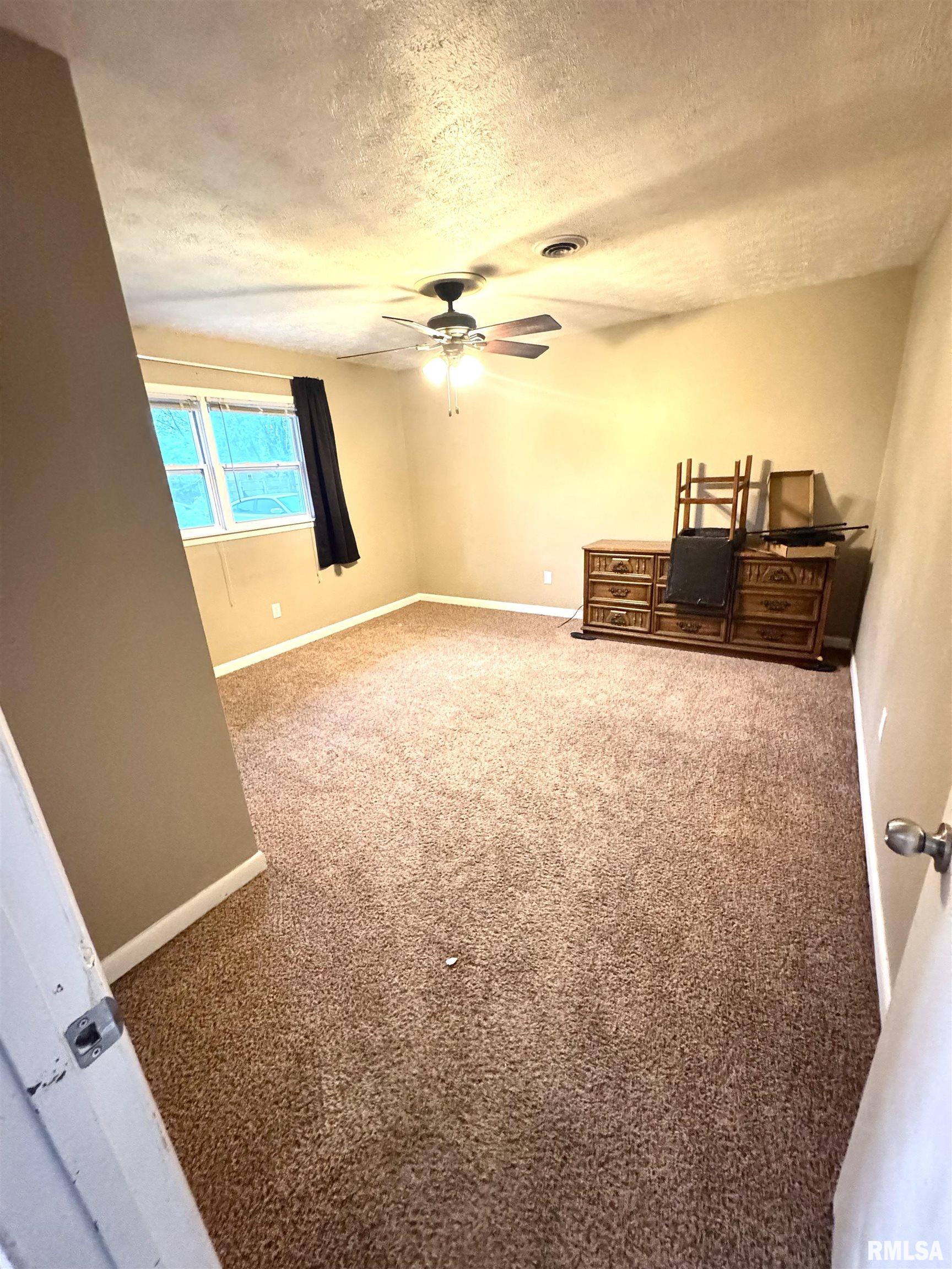 1001 West 6th Street West Frankfort, IL 62896 - Photo 6 of 13