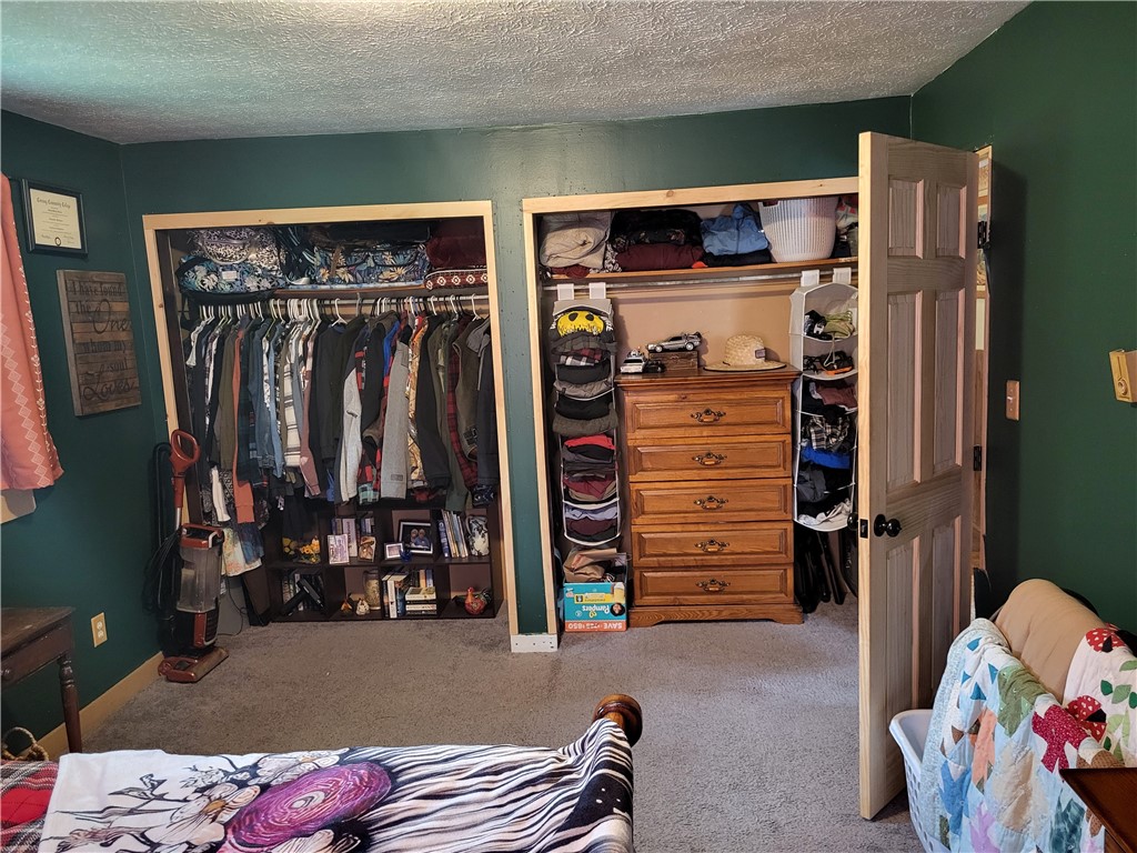 5691 Buck Settlement Road Bath, NY 14810 - Photo 14 of 34