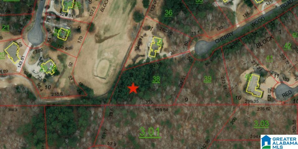 0 Cherrywood Road, Unit 8 Oneonta, AL 35121 - Photo 13 of 13