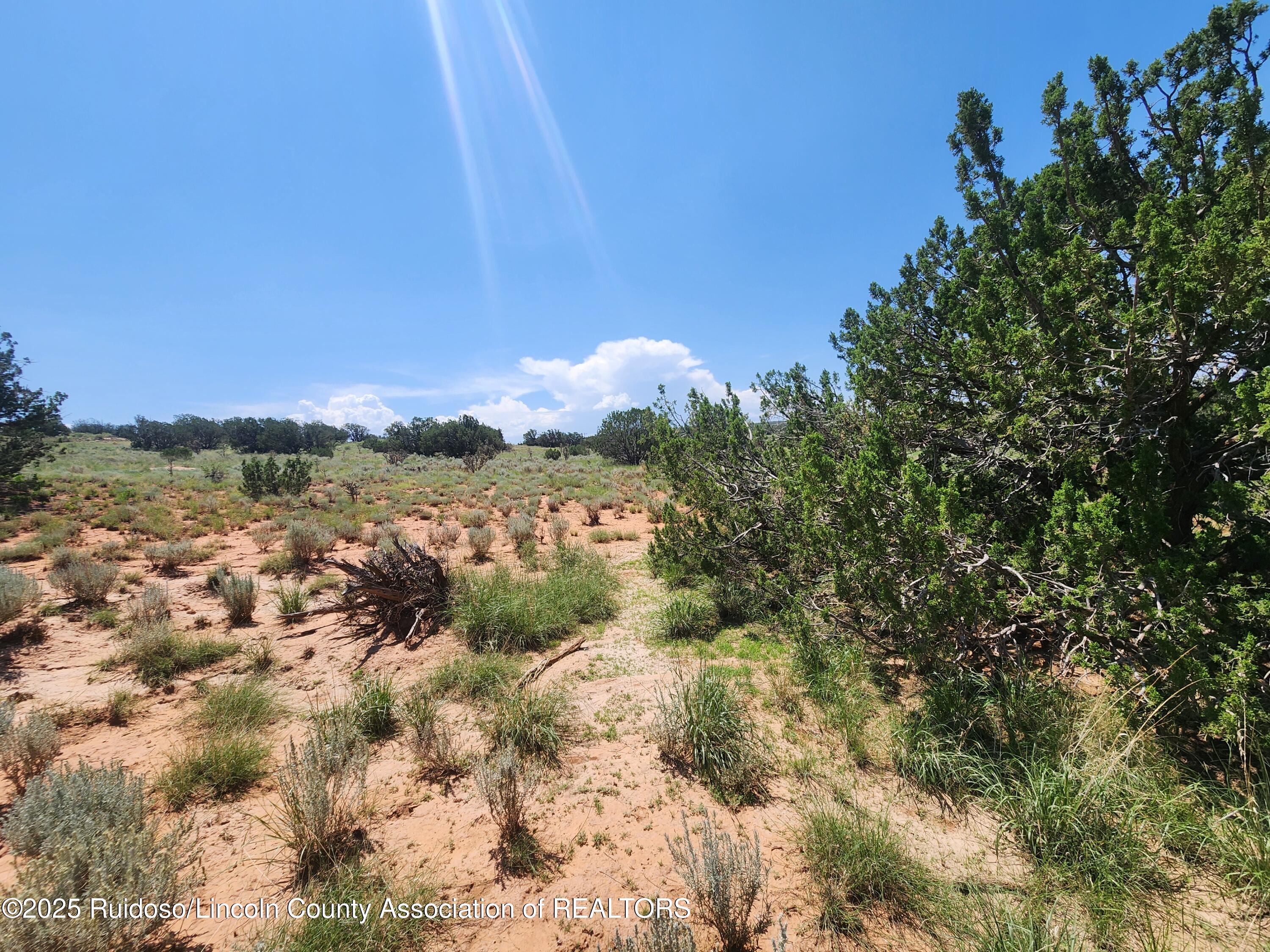 312 Windmill Road Carrizozo, NM 88301 - Photo 37 of 70 Gallery Image 37