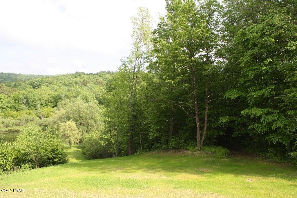 4 Swamp Road Pleasant Mount, PA 18453 - Photo 26 of 35 BACK YARD