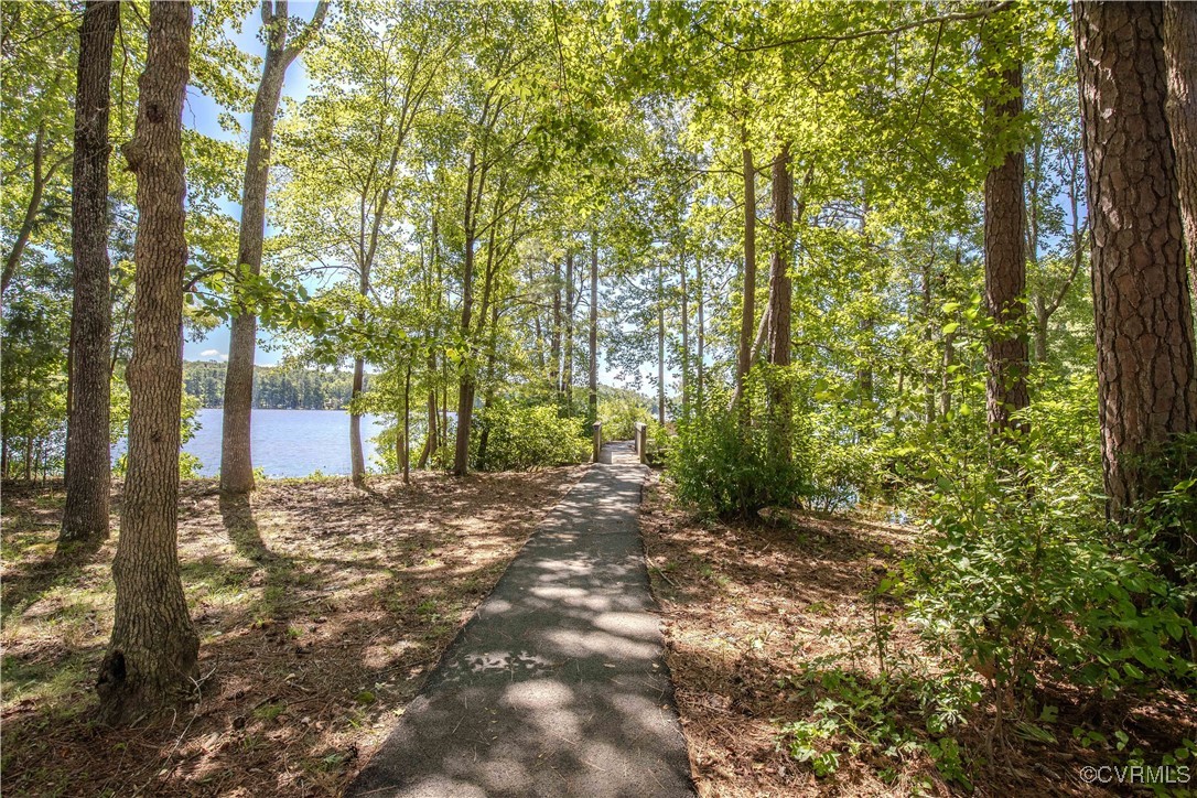 5720 Long Cove Road Midlothian, VA 23112 - Photo 25 of 31 a view of a yard with plants and trees