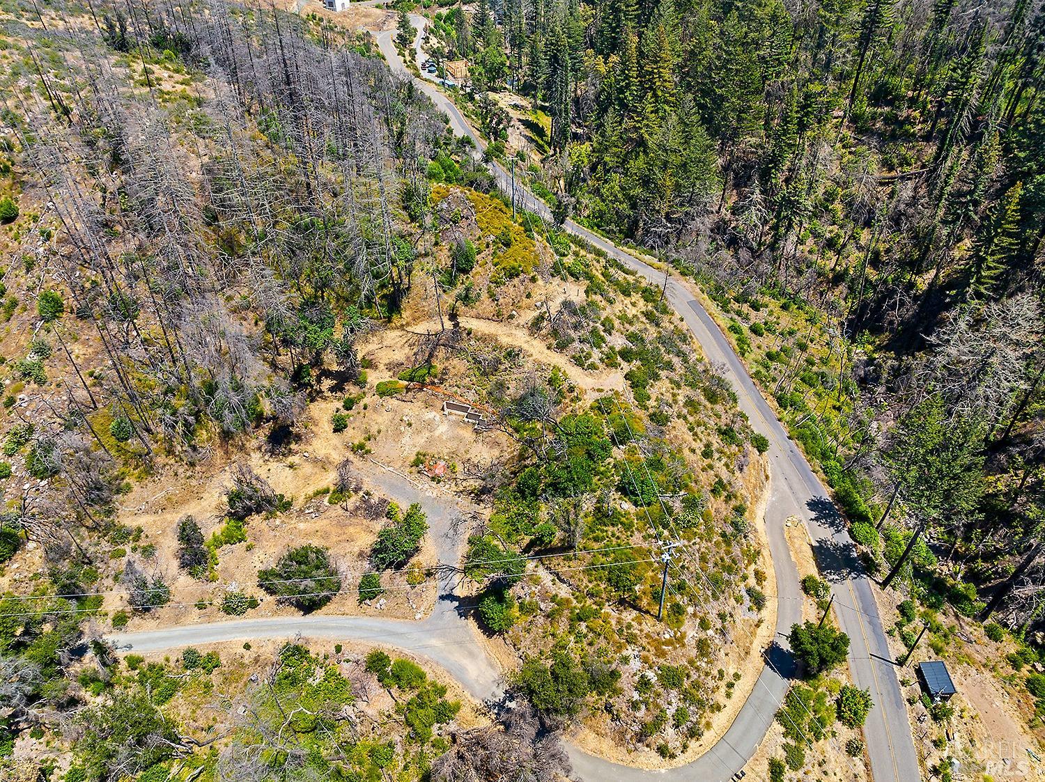 7905 St Helena Road Santa Rosa, CA 95404 - Photo 1 of 28 view of a yard