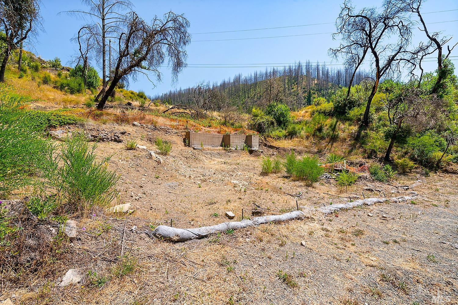 7905 St Helena Road Santa Rosa, CA 95404 - Photo 12 of 28 a view of a yard with plants and trees