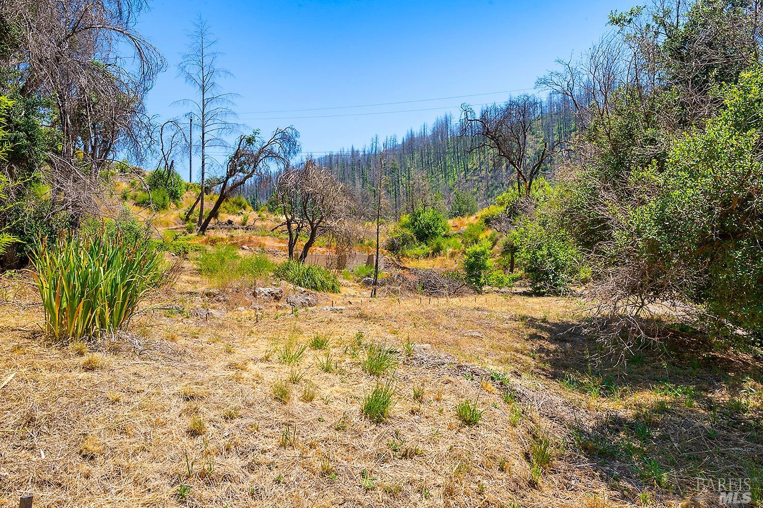 7905 St Helena Road Santa Rosa, CA 95404 - Photo 14 of 28 a view of a yard with trees