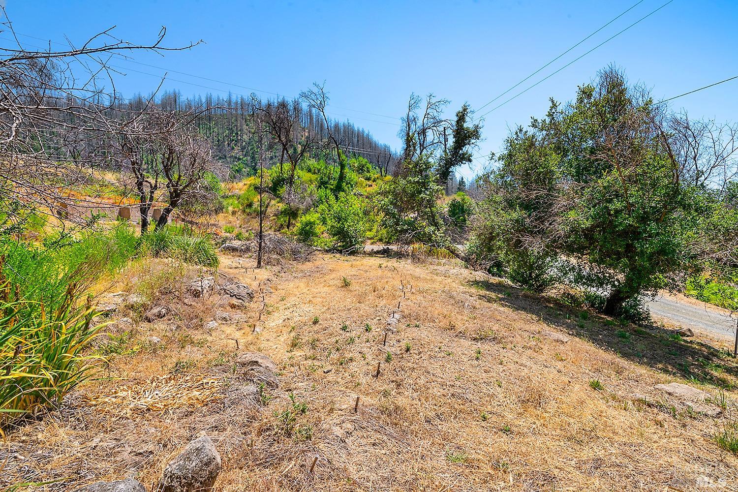 7905 St Helena Road Santa Rosa, CA 95404 - Photo 15 of 28 a view of a yard with trees and a pathway