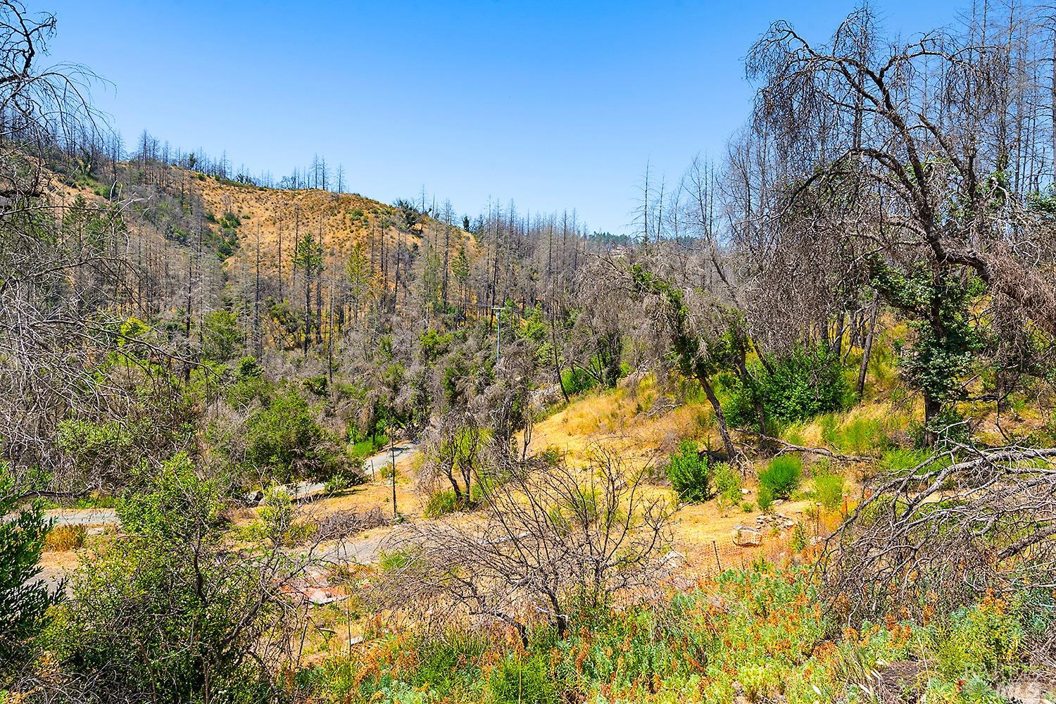 7905 St Helena Road Santa Rosa, CA 95404 - Photo 19 of 28 a view of a yard with a tree
