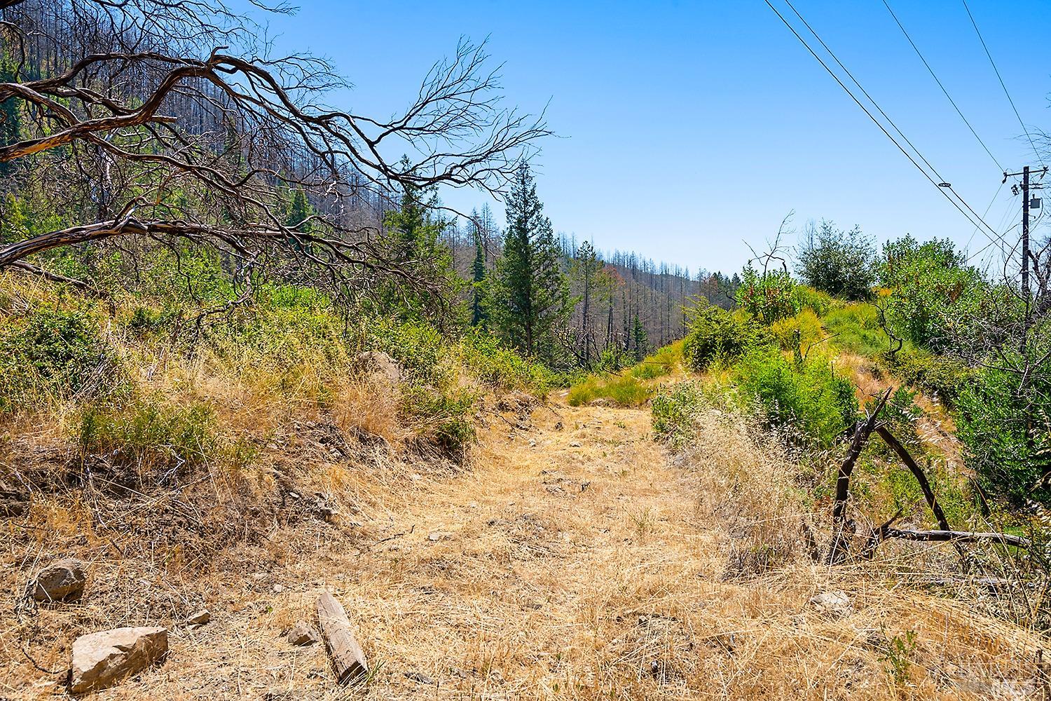 7905 St Helena Road Santa Rosa, CA 95404 - Photo 23 of 28 a view of a yard with plants and trees