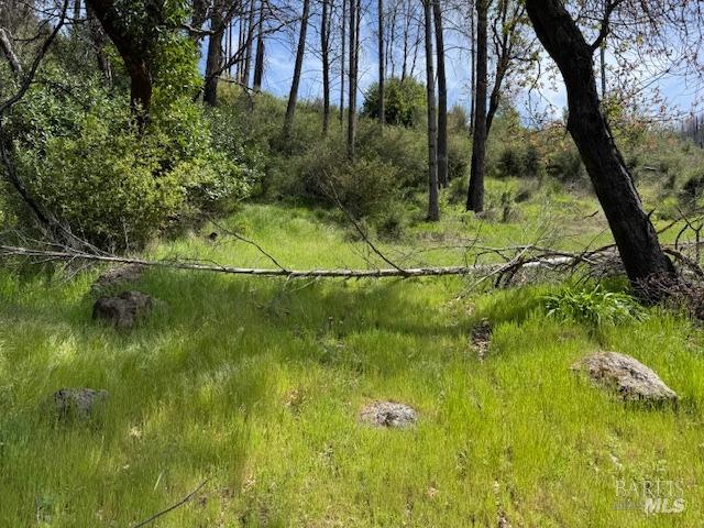 7905 St Helena Road Santa Rosa, CA 95404 - Photo 7 of 28 a view of swimming pool from a yard
