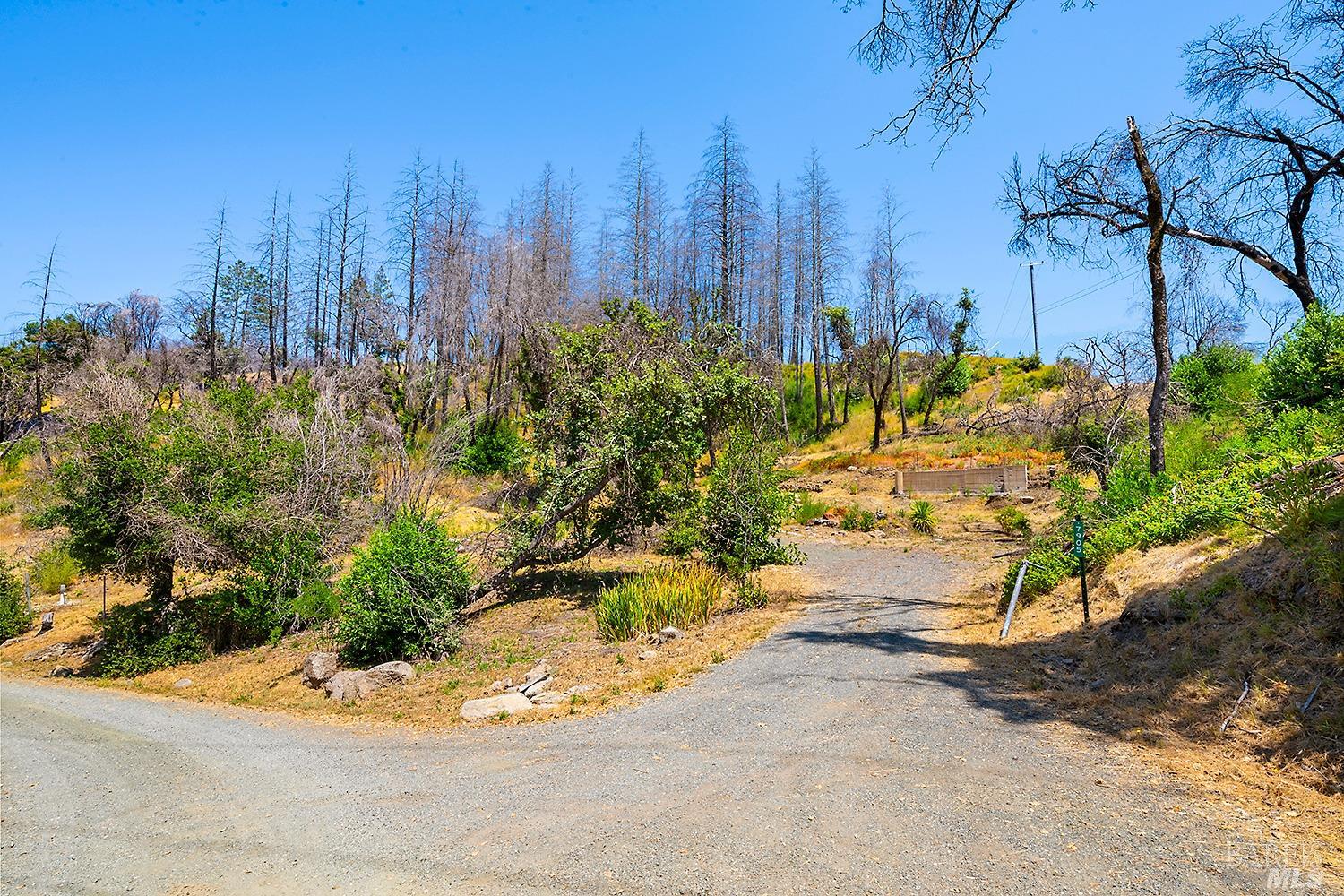 7905 St Helena Road Santa Rosa, CA 95404 - Photo 8 of 28 a view of a yard along with trees