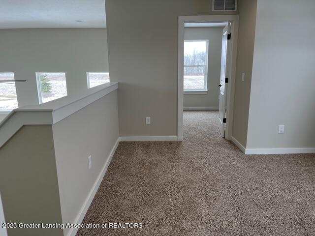 3145 Wildcat Road St. Johns, MI 48879 - Photo 47 of 60 IMG_9316