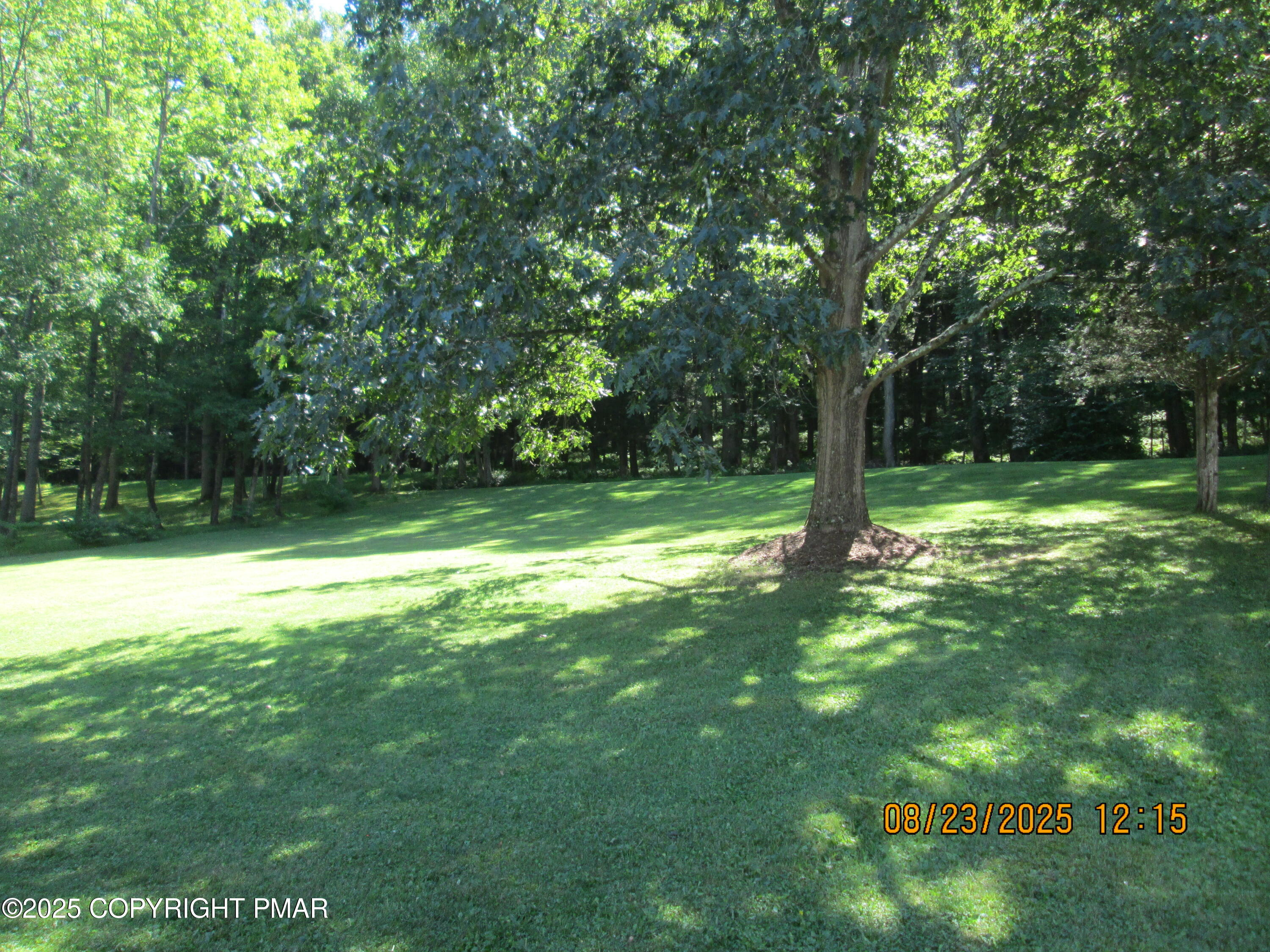 980 Haney Road Stroudsburg, PA 18360 - Photo 54 of 54 a view of a trees in a yard