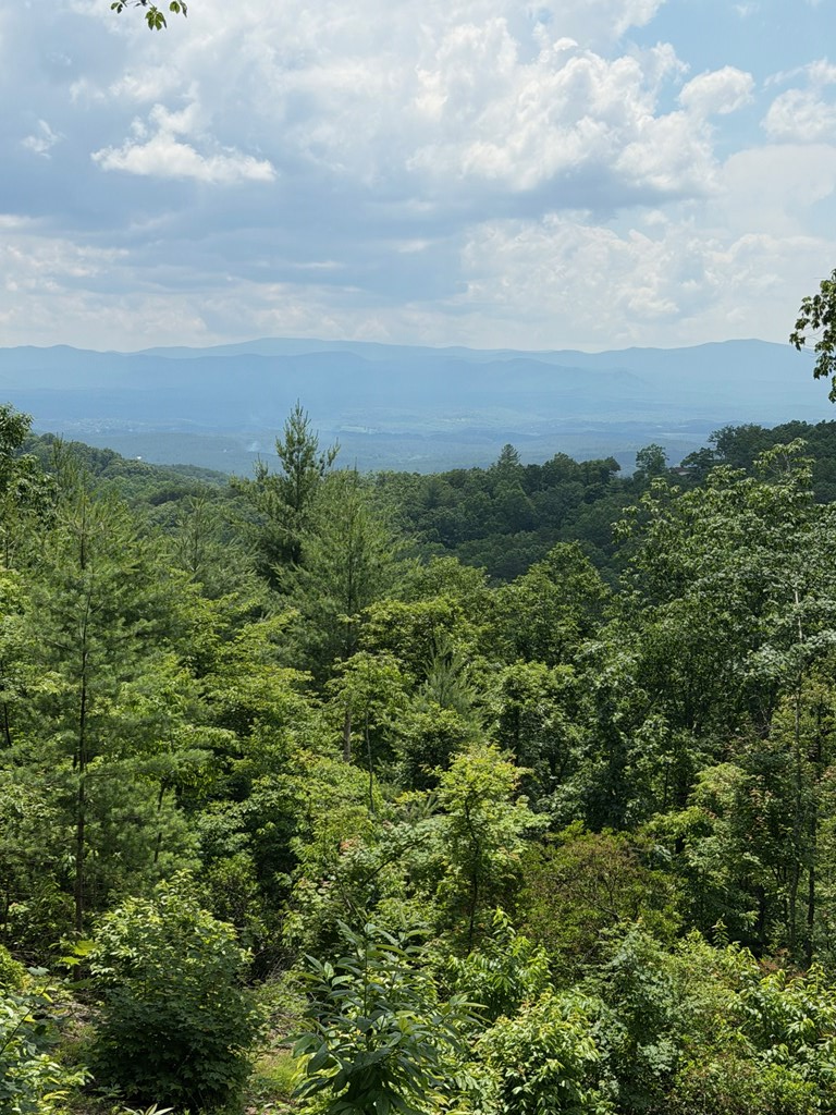 340 Lazy Country Cv Road Murphy, NC 28906 - Photo 2 of 5
