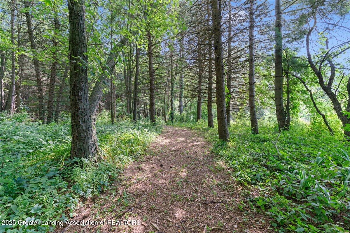 9290 Maple Road Lyons, MI 48851 - Photo 49 of 61 50-Media Jett - 56
