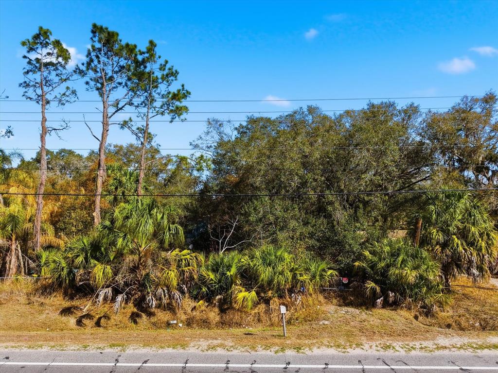8529 Lithia Pinecrest Road Lithia, FL 33547 - Photo 2 of 12