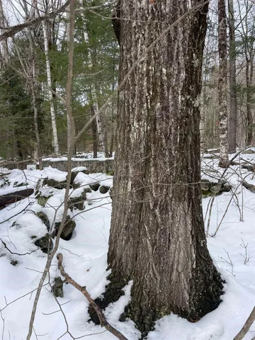 $350,000 | 332 Gleason Falls Road, Unit MAP 5 LOT 87 AND MAP 8 LOT 146, Hillsborough, NH 03244