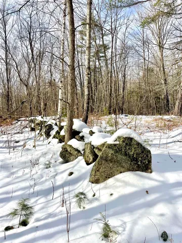 $350,000 | 332 Gleason Falls Road, Unit MAP 5 LOT 87 AND MAP 8 LOT 146, Hillsborough, NH 03244