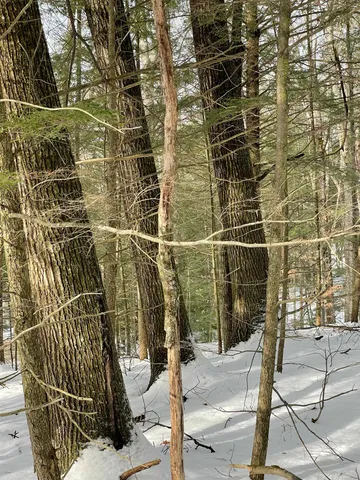 $350,000 | 332 Gleason Falls Road, Unit MAP 5 LOT 87 AND MAP 8 LOT 146, Hillsborough, NH 03244