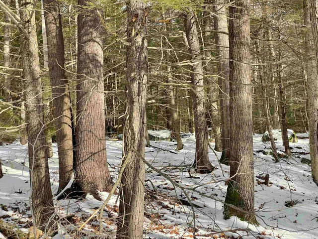 $350,000 | 332 Gleason Falls Road, Unit MAP 5 LOT 87 AND MAP 8 LOT 146, Hillsborough, NH 03244