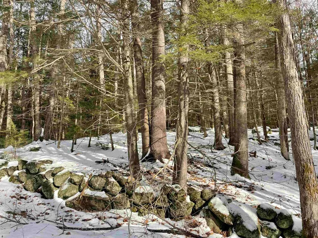 $350,000 | 332 Gleason Falls Road, Unit MAP 5 LOT 87 AND MAP 8 LOT 146, Hillsborough, NH 03244