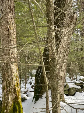 $350,000 | 332 Gleason Falls Road, Unit MAP 5 LOT 87 AND MAP 8 LOT 146, Hillsborough, NH 03244