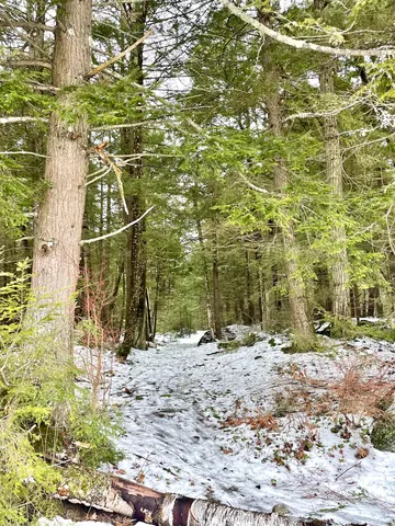 $350,000 | 332 Gleason Falls Road, Unit MAP 5 LOT 87 AND MAP 8 LOT 146, Hillsborough, NH 03244