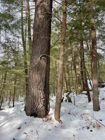 $350,000 | 332 Gleason Falls Road, Unit MAP 5 LOT 87 AND MAP 8 LOT 146, Hillsborough, NH 03244