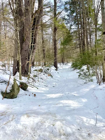 $350,000 | 332 Gleason Falls Road, Unit MAP 5 LOT 87 AND MAP 8 LOT 146, Hillsborough, NH 03244